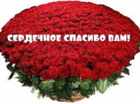Мама воспитанника детского сада АНО ДО «Планета детства «Лада» № 102 «Веселые звоночки» благодарит заведующую Татьяну Евгеньевну Горшенину, воспитателей Ольгу Владимировну Пашкову и Диану Геннадьевну Рябкову Мама воспитанника детского сада АНО ДО «Планета детства «Лада» № 102 «Веселые звоночки» благодарит заведующую Татьяну Евгеньевну Горшенину, воспитателей Ольгу Владимировну Пашкову и Диану Геннадьевну Рябкову