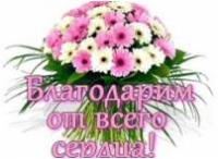 Родители группы № 91 благодарят детский сад № 134 «Веснушки» АНО «Планета детства «Лада» Родители группы № 91 благодарят детский сад № 134 «Веснушки» АНО «Планета детства «Лада»