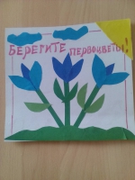Акция «Первоцвет» Акция «Первоцвет»